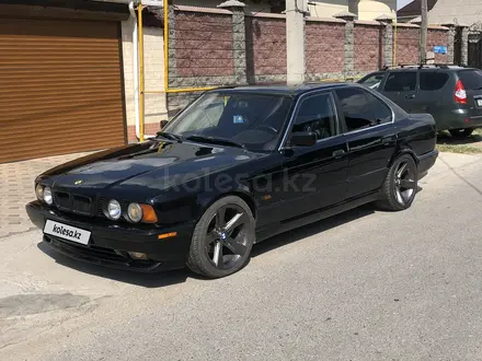 BMW 525 1995 года за 2 800 000 тг. в Шымкент – фото 16