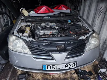 Носкат мини морда на Nissan Primera P-12 за 250 000 тг. в Алматы – фото 34