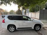 Lexus GX 460 2010 годаүшін15 500 000 тг. в Шымкент – фото 4