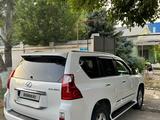 Lexus GX 460 2010 годаүшін15 500 000 тг. в Шымкент – фото 5