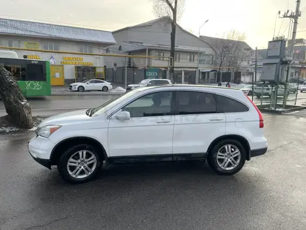 Honda CR-V 2011 года за 7 000 000 тг. в Алматы – фото 2