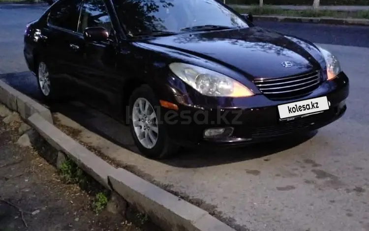 Lexus ES 300 2002 года за 7 200 000 тг. в Шымкент