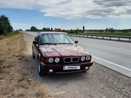 BMW 520 1994 года за 4 000 000 тг. в Шымкент