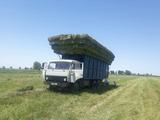 КамАЗ  5320 1995 года за 5 000 000 тг. в Шымкент