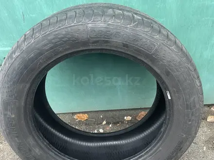 Berlin Tires за 25 000 тг. в Усть-Каменогорск