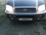 Hyundai Santa Fe 2003 года за 2 500 000 тг. в Сарань