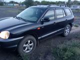 Hyundai Santa Fe 2003 года за 2 500 000 тг. в Сарань – фото 2
