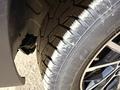 Kia Sorento 2011 года за 7 000 000 тг. в Алматы – фото 20