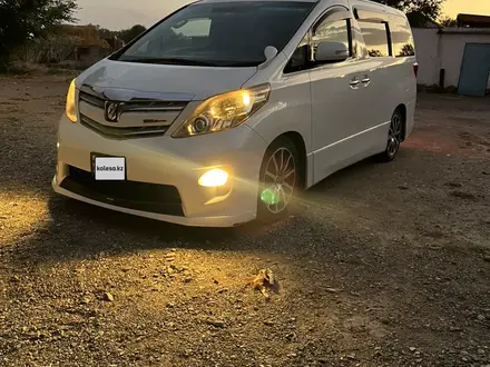 Toyota Alphard 2010 года за 8 200 000 тг. в Тараз