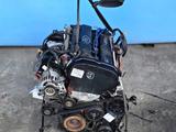 Контрактный двигатель Ford EDDB Zetec 2.0 литра за 350 000 тг. в Петропавловск – фото 5