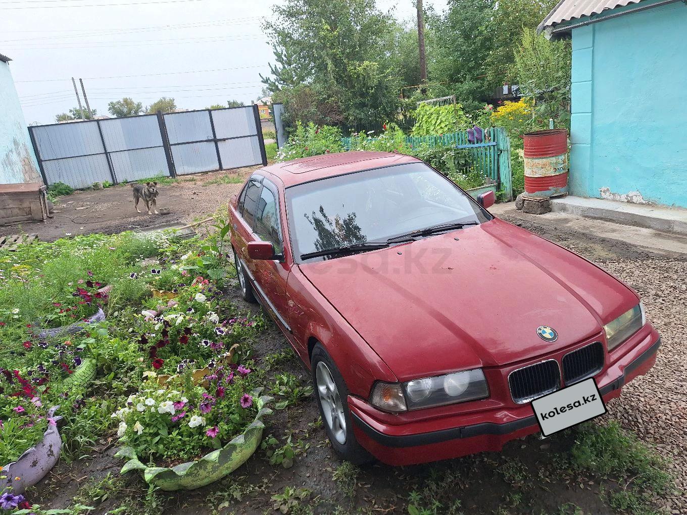 BMW 316 1992 г.