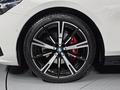 BMW 530 XDrive 2024 годаүшін35 000 000 тг. в Алматы – фото 5