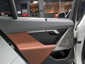 BMW 530 XDrive 2024 годаүшін35 000 000 тг. в Алматы – фото 24