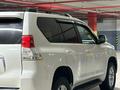 Toyota Land Cruiser Prado 2010 годаfor13 500 000 тг. в Астана – фото 56