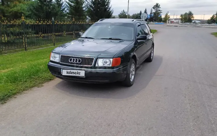 Audi 100 1992 года за 3 000 000 тг. в Петропавловск