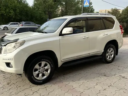 Toyota Land Cruiser Prado 2013 года за 16 999 999 тг. в Алматы – фото 14