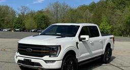 Ford F-Series 2023 года за 42 000 000 тг. в Алматы