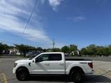 Ford F-Series 2023 года за 42 000 000 тг. в Алматы – фото 5