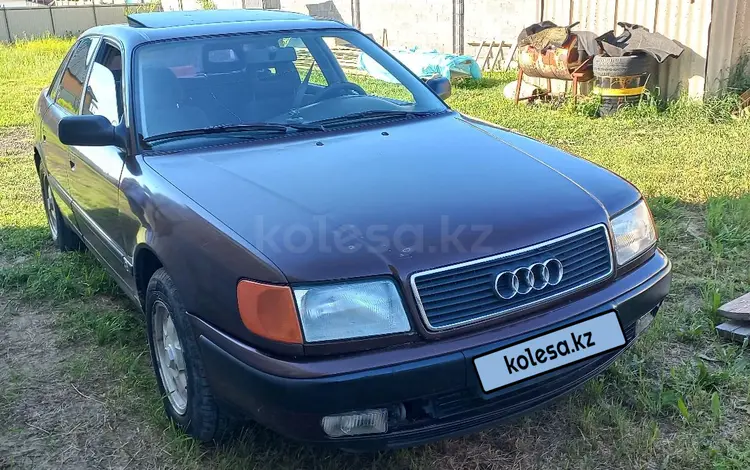 Audi 100 1992 годаүшін1 750 000 тг. в Алматы