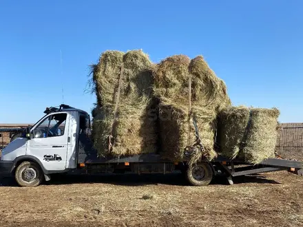 ГАЗ  ГАЗель (3302) 2005 года за 5 000 000 тг. в Атырау – фото 4