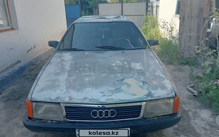 Audi 100 1988 годаfor600 000 тг. в Шу