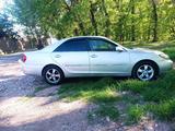 Toyota Camry 2003 года за 3 900 000 тг. в Мерке – фото 2
