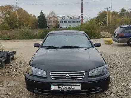 Toyota Camry 1999 года за 3 200 000 тг. в Шымкент