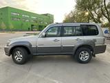 Hyundai Terracan 2002 года за 3 700 000 тг. в Алматы – фото 5