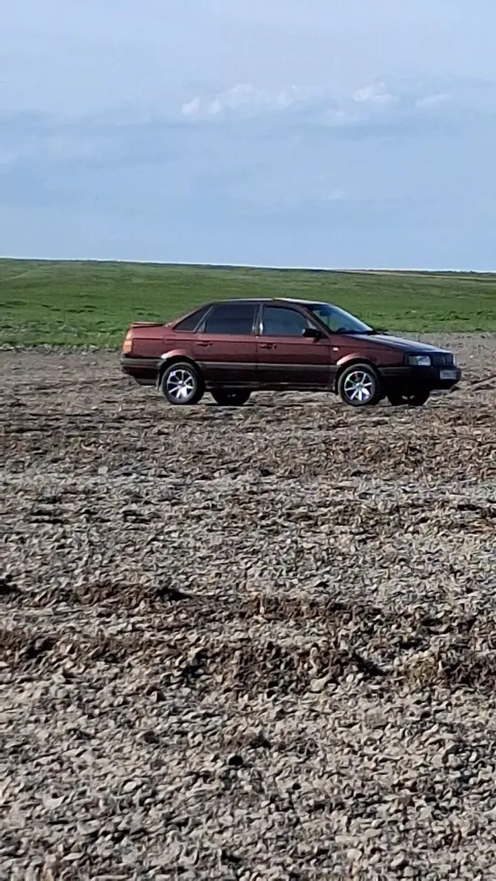 Volkswagen Passat, 1991