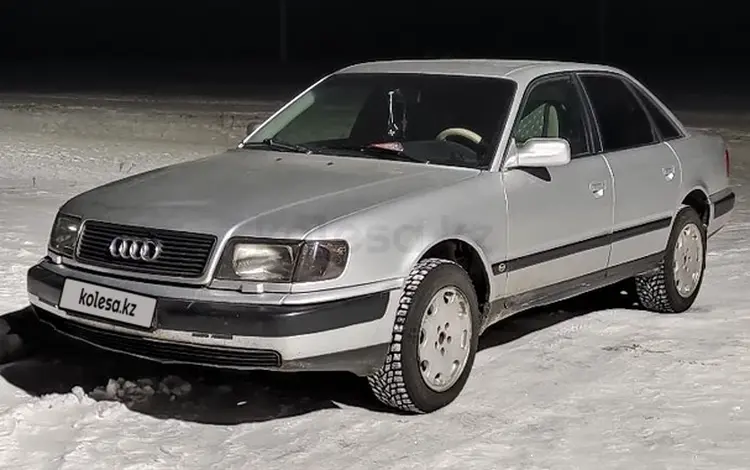Audi 100 1992 года за 2 200 000 тг. в Петропавловск