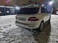 Mercedes-Benz ML 350 2013 годаfor18 000 000 тг. в Астана – фото 6