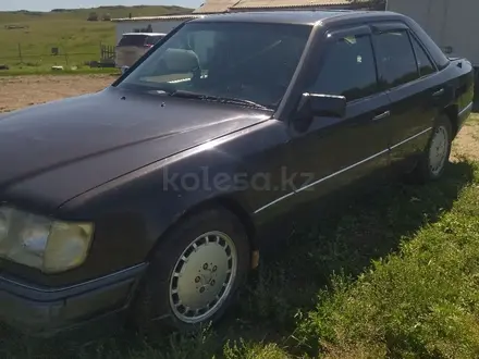 Mercedes-Benz E 200 1994 года за 1 400 000 тг. в Караганда – фото 3