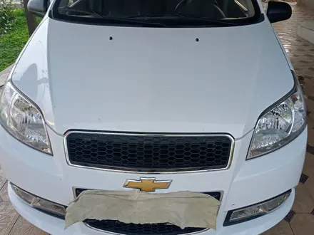 Chevrolet Nexia 2020 года за 4 000 000 тг. в Шымкент