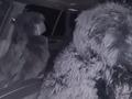 BMW X5 2015 года за 19 500 000 тг. в Астана – фото 10