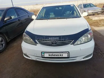 Toyota Camry 2002 года за 3 800 000 тг. в Алматы – фото 2