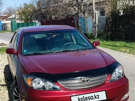 Toyota Camry 2002 года за 4 370 000 тг. в Шымкент – фото 3