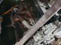 Nissan Lafesta запчасти по кузовуүшін1 000 тг. в Актобе – фото 17