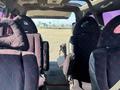 Mitsubishi Space Gear 1995 годаүшін2 250 000 тг. в Аягоз – фото 10
