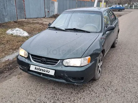 Toyota Corolla 2001 года за 2 200 000 тг. в Петропавловск