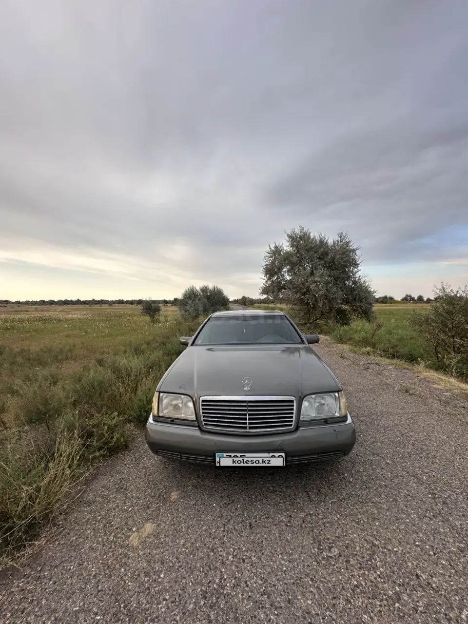 Mercedes-Benz S-Class, 1993