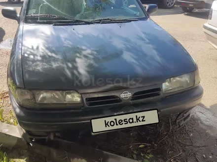 Nissan Primera 1994 года за 700 000 тг. в Кокшетау – фото 5