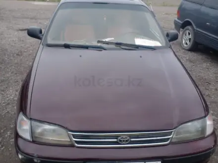 Toyota Carina E 1994 года за 1 900 000 тг. в Алматы