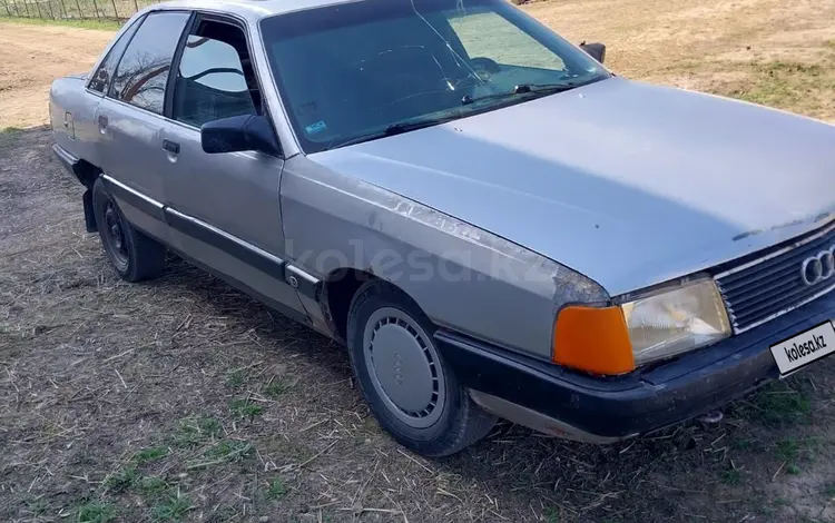 Audi 100 1984 года за 500 000 тг. в Шу