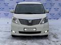 Toyota Alphard 2008 годаfor10 999 999 тг. в Шымкент