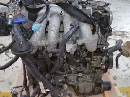 Двигатель на Nissan Primera P12 QR20 за 99 000 тг. в Шымкент – фото 5