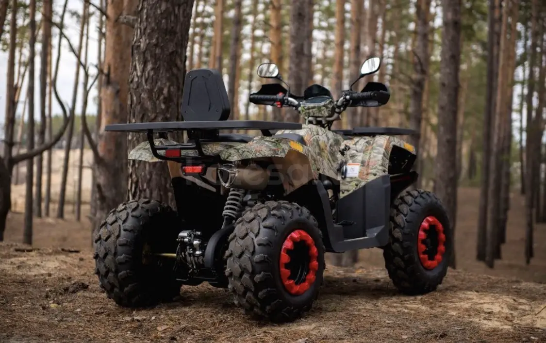Самый бюджетный квадроцикл. Самый бюджетный квадроцикл. Раптор 660 квадроцикл. Квадроцикл камон шарк 200. Квадроцикл форте хантер 125.