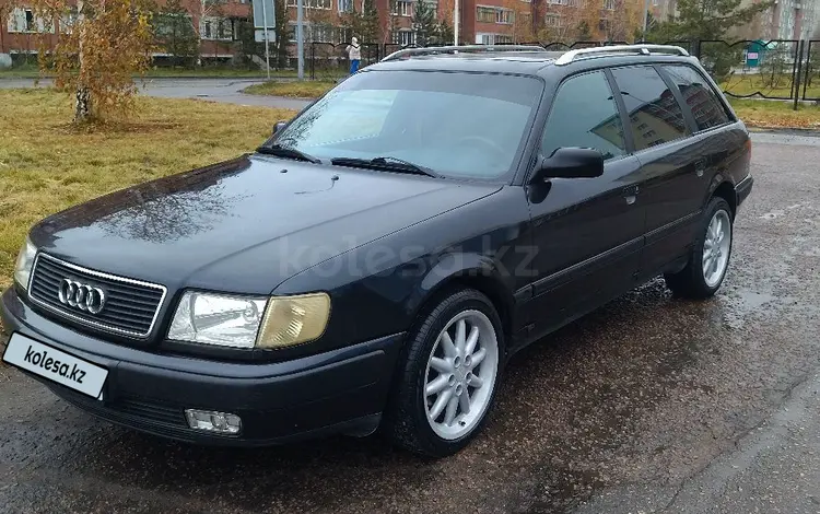 Audi 100 1993 года за 2 500 000 тг. в Петропавловск