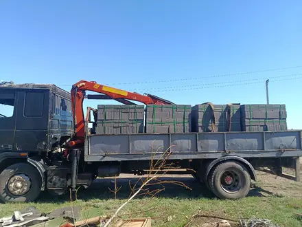 DAF  XF 95 1991 года за 10 000 000 тг. в Караганда – фото 19