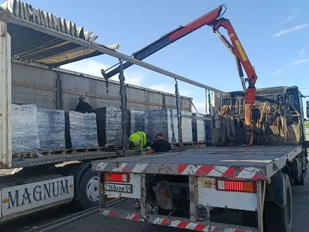 DAF  XF 95 1991 года за 10 000 000 тг. в Караганда – фото 30