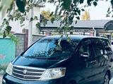 Toyota Alphard 2004 года за 6 500 000 тг. в Шымкент